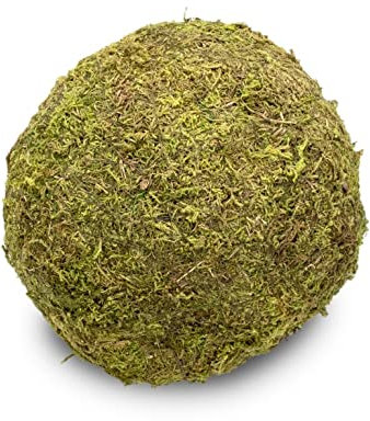 NaDeco Moos-Ball mit Durchmessern von 8, 10, 15, und 20cm zur Auswahl | Moos-Kugel | Moosball | Mooskugel | Deko-Moos | Moos-Deko | Asia-Moos-Ball | Kokedama, Größe:Ø 20 cm