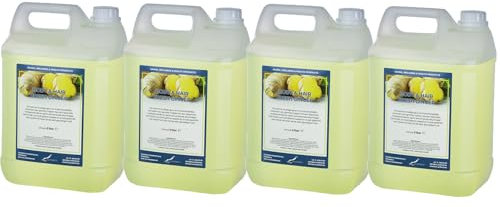 Body & Hair Fresh Ingwer - 5 Liter - 4er Set - 2 in 1 für Körper und Haar
