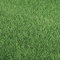 VERDELOOK Prato Verde Artificiale in Polipropilene, 2x3 Metri