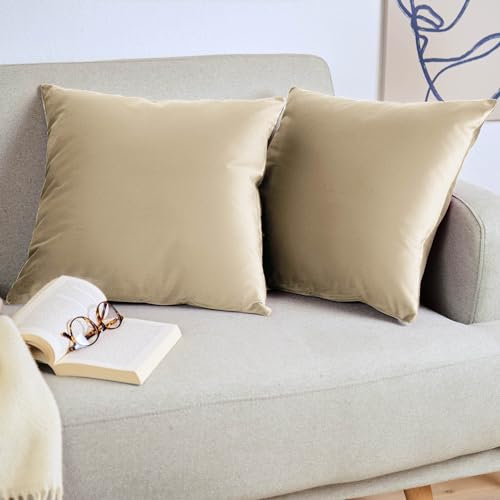 Blumtal 2er Set Kissenbezug 45x45 cm Beige - dekorativer Samt Kissenbezug mit verstecktem Reißverschluss, Kissenhülle für Zierkissen Deko-Kissen Polster Sofakissen & Couchkissen, waschbar