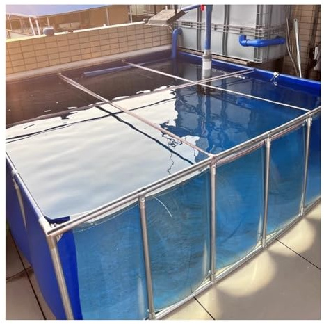 Rygcrud Grandi Laghetti Fuori Terra, Piscine per Acquari - Rivestimenti in Tela PVC con Finestra Trasparente E Struttura in Acciaio, Vasca Wanter per L'allevamento di Koi(120x80x71cm)