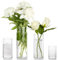 Winter Shore Jarron Cristal Transparente [Pack de 4] - Jarrones de Cristal Cilíndricos en 4 Tamaños - Soportes Altos para Flores, Plantas, Velas - Centros de Decoración para Fiestas, Casa, Boda