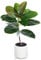 Leflos 60cm künstlicher Gummibaum Indoor, realistische Tropische Gummipflanze im weißen Topf, deko für Wohnzimmer, Büro, Fest & Party