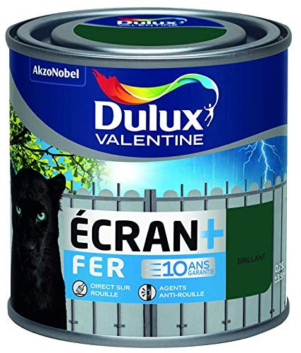 Ecran fer brillant 0.25l vert basque