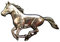 Ansteckpin Pferd im Galopp | für den Hut oder das Revers | Perfekt zum Reit-Outfit | Anstecker Pin Button | Altsilber