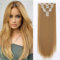 Extensions Clip in Extensions Echthaar 8 Teile 60cm Haarverlängerung Haarteil Glatt Synthetische Haare Natürlich Lang, Dunkelblond
