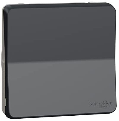 Zweipoliger Schalter IP55, Grau