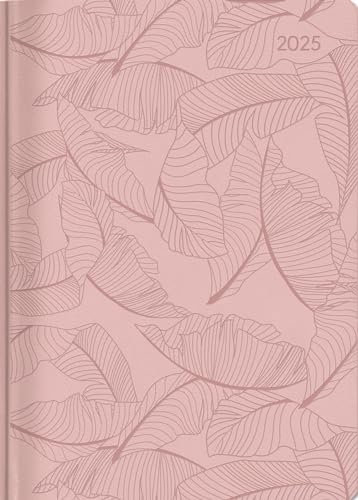 Alpha Edition - Ladytimer Grande Deluxe Salmon 2025 Taschenkalender, 15x21cm, Kalender mit 128 Seiten, Notizmöglichkeiten nach jedem Tag Übersichten und internationalem Kalendarium