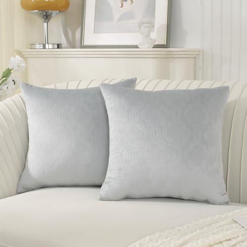 Ystyle Funda Cojin 50x50 Cojines para Sofa de Terciopelo Juego de 2 Cojines Salon para Decoracion Hogar Fundas Cojines de Almohada Moderna para Sala de Estar Sofás Cojines Cama, Gris Plata