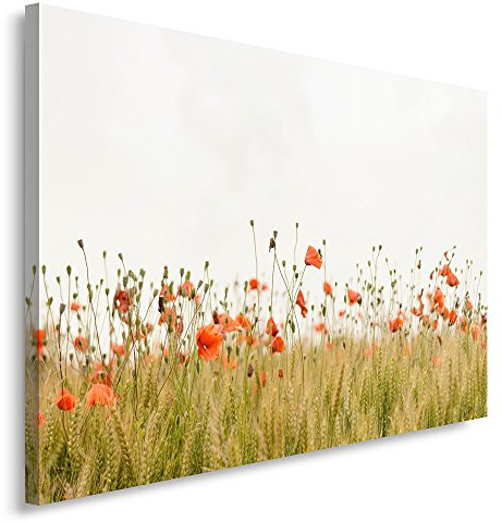 Feeby Frames, Leinwandbild, Bilder, Wand Bild, Wandbilder, Kunstdruck 50x70cm, MOHN, BLUMEN, WIESE, NATUR, GRÜN, ROT