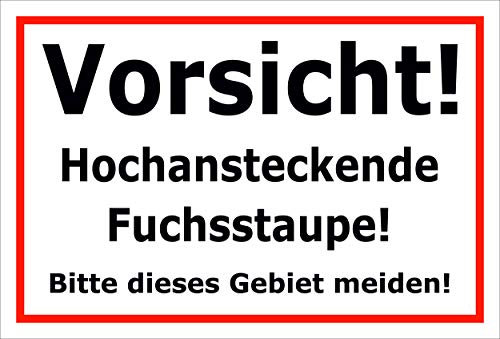 Melis Folienwerkstatt Aufkleber – Fuchs-staupe - 15x10cm – 20 VAR S00359-226-B