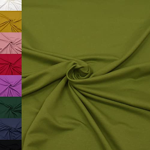 MAGAM-Stoffe Theo French Terry uni Sweat Stoff Oeko-Tex Meterware 50cm (15. Moosgrün)