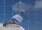 Bird Netting For the Garden 5m x 5m 50mm 2 Anti Pigeon Knotted Mesh Heavy Duty White Net Protection