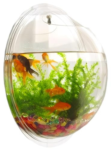 Wall Hanging Fish Tank, Wall Mounted Fish Tank 9.1 Inch Diameter, Hanging Fish Bowl Aquarium Tank, Fish Tank Bowl Aquarium