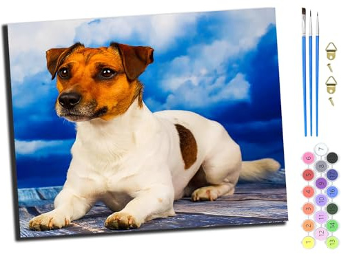 WANGXIAO Malen nach Zahlen Erwachsene,Paint by Numbers,DIY Handgemalt Ölgemälde Mit 3,Pinseln und Acrylfarbe knitterfreie leinwand Kit,40x50 cm,Tier Jack Russell Hund,mit Rahmen