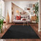 Carpettex Teppich Wohnzimmer Kurzflor Teppich Modern Einfarbig Anthrazit - 240 x 340 cm, Waschbar, Extra Weich Flauschig - Küchenteppich, Schlafzimmer, Kinderzimmer, Esszimmer, Flur