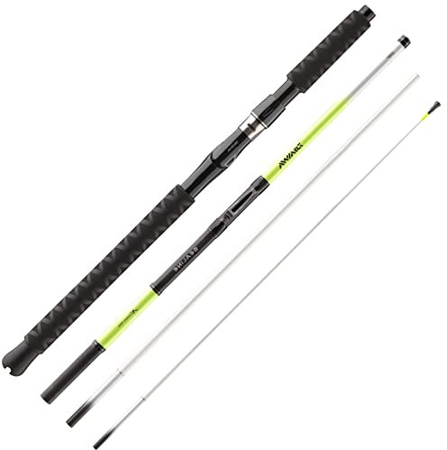 DAIWA Seal. X't. Itl Tr 2.35m 15-30l Meeresrute, 2,35