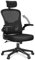 naspaluro Office Desk Chair with Flip-Up Armrest High Back Ergonomic Computer Chair with Adjustable Headrest and Lumbar Support Executive Swivel Chair for Home and Office - Black