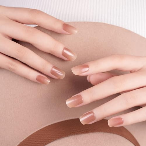 DANNI & TONI Halb ausgehärtete Gel Nagelfolien (Earthy Ombre) Braun Glitzer Farbverlauf Glänzend uv Gel Nagelfolie Nagelsticker Nageldesign Nagelfolie Selbstklebend Wraps 28 Aufkleber