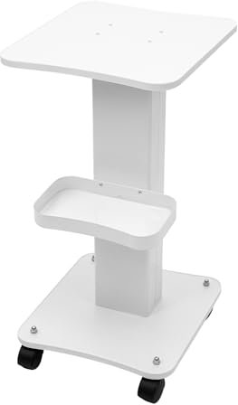 Beauty Salon Trolley Cart, 2 Tiers Spa Beauty Equipment Maintenance Cart Rack Storage Tray with Lockable Rolling Wheel for Beauty Medical Instruments