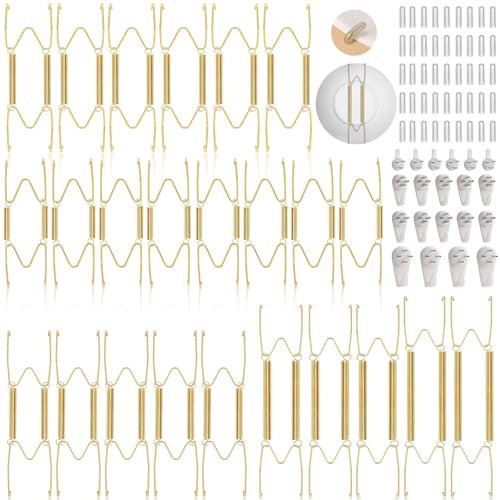 Tetutor 24 pcs Plate Hangers for The Wall, 4/6/8/10/12 Inch Invisible Decorative Wall Plate Hangers, Stainless Steel Plate Wall Hangers for Display Various Sizes with Wall Hooks for Decorative Plate