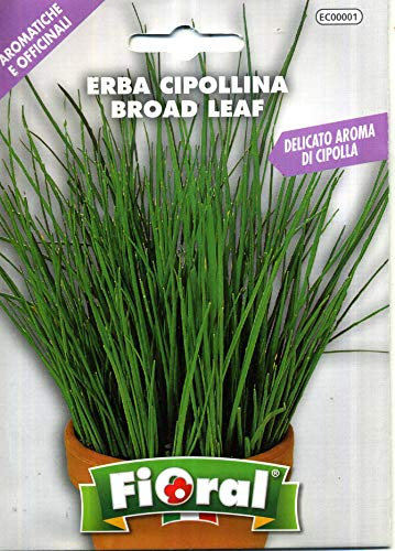Sementi di piante aromatiche e officinali in bustina ad uso amatoriale (ERBA CIPOLLINA)