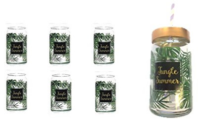 Cerve 6x Glas Flasche 470ml mit Deckel & buntem Strohhalm
