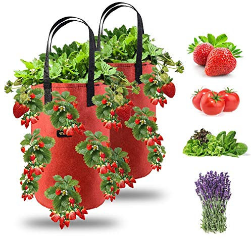Ulikey 2Pcs Bolsas de Cultivo de Fresa, 3 Gallones Bolsa para Plantas Fresas Bolsa de Macetas Colgantes con Asas No Tejidos Transpirables con 13 Agujeros para Papas, Tomates y Fresas (2pcs - Rojo)