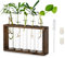 Glasseam Vaso Interno Decorativi Fiori Vetro: Moderni Vasi Provetta Porta Con Supporto In Legno Eleganti Stazione Di Propagazione Per Talee Piante Idroponico Tavolo