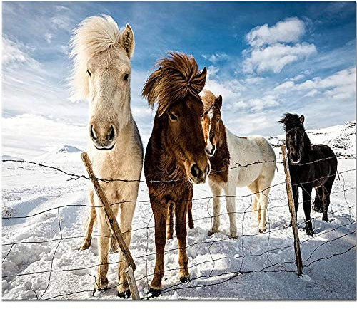 Yingxin34 Puzzles für Erwachsene 1500 Stück Spielzeug Pferd im Schnee Familie Puzzles Mat pädagogische für Kinder im Alter von 4-8 Jahren für Kinder Alter alle Ostern Thanksgiving Weihnachten