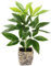 Künstliche Pflanze Schefflera mit Übertopf Blattpflanze Seidenblumen Real Touch Kunstpflanzen Zimmerpflanzen Dekopflanze Grünpflanze Seidenpflanze Kunstblume Strahlenaralie Büropflanze Deko 48cm