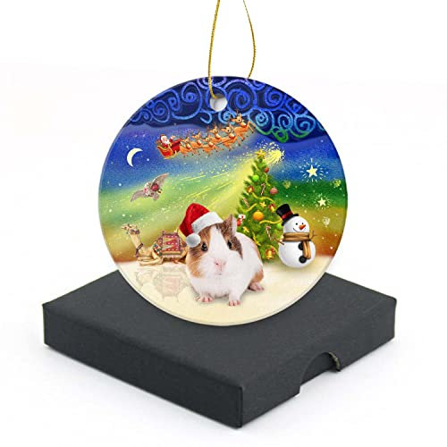 Weihnachtsdekoration 2022, lustige Meerschweinchen, runder Weihnachtsbaumschmuck, Andenken, Heimdekoration für Ihren Weihnachtsbaum, Keramik-Ornament, 7,6 cm, mit Geschenkbox