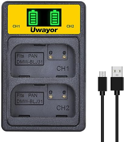Uwayor DMW-BLJ31 chargeur de batterie Kit appareil photo chargeur de batterie USB pour Panasonic Lumix DC-S1, DC-S1H, DC-S1R, appareil photo série LUMIX S