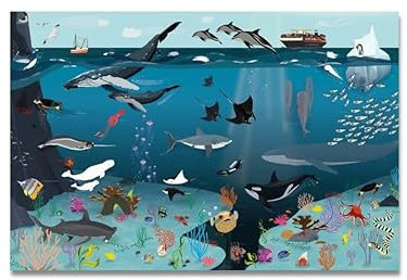 Close Up Unterwasserwelt XL Poster | für KInder | mit handgezeichneten Objekten | Meeresbewohner mit Bezeichnung | Wimmelbild zum Entdecken | 170g/m² | 91,5 x 61 cm