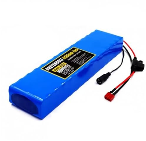 AYKLFNW 48V 50Ah Lithium Battery Pack for Electric Bike Scooter with Charger,E-Bike Lithium-Ion Battery, Built-in BMS Aging resistance Suitable for electric scooters 48V 50Ah,T+DC
