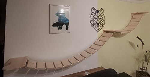 MediKratz Wandpark für Main Coon, Catwalk, Kletterwand, Katzenwand, Trittstufen (100+200cm, Natur)