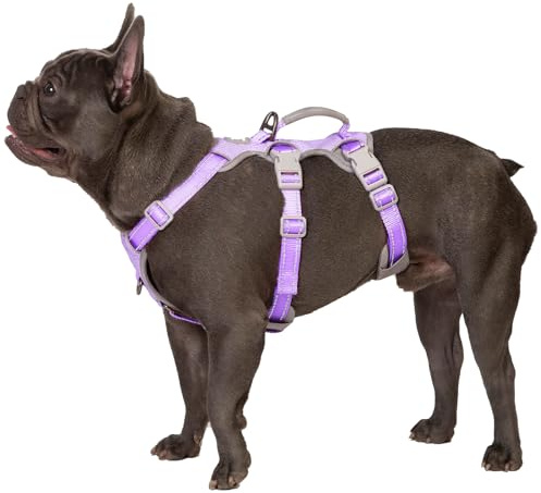 Huntboo Sicherheitsgeschirr Hund Ausbruchsicher, Panikgeschirr für Hunde, Reflektierendes Geschirr mit Gepolstertem Griff, Verstellbare Weste für Kleine Hunde, die Spazieren Gehen (Lavendel Lila,S)