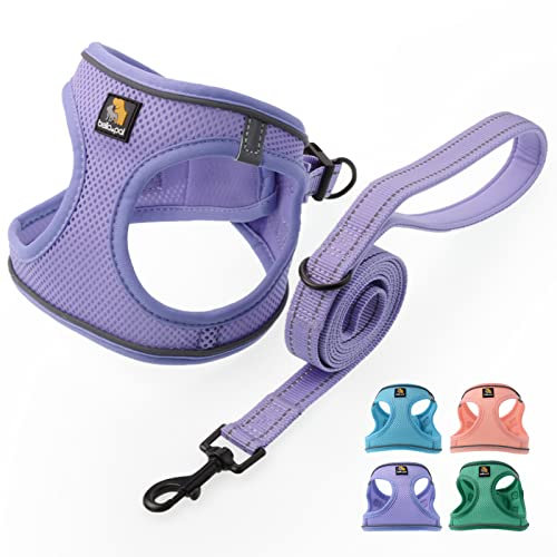BELLA & PAL Hundegeschirr Kleine Hunde mit Leine, Step-in Geschirr aus Air Mesh, Anti Zug Reflektierend Atmungsaktiv Brustgeschirr, Welpengeschirr für Kleine Hunde, Katzengeschirr, Lavendel, S