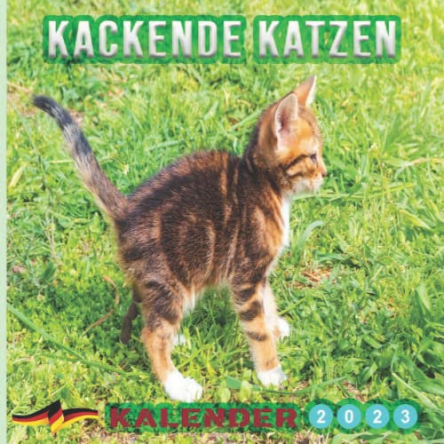 Kackende Katzen Kalender 2023: Lustiger Kalender katzen 2023 für Hundebesitzer und Tierliebhaber