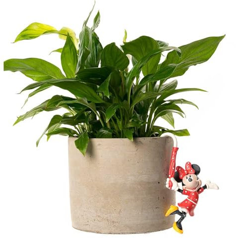 Jardinopia Pot Buddies Minnie Mouse Plant Pot Hanger