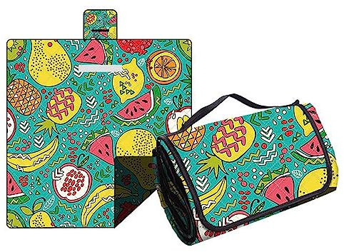 Hayisugal Picknickdecke Sandfrei Stranddecke Wasserdicht Campingdecke Waschbar Strandunterlage Tragbare Picknickdecke Soft für Strand,Picknick,Wandern,Reisen, Bunt Obst, 200 x 200 cm