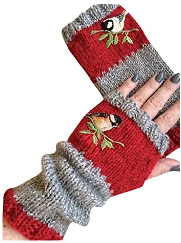 Nidddiv Lack Handschuhe Schwarz Kurz Warm Stickerei Strickhandschuh Frauen Outdoor-Handschuhe Plus Samthandschuh Latex Anzug Damen (Red, One Size)