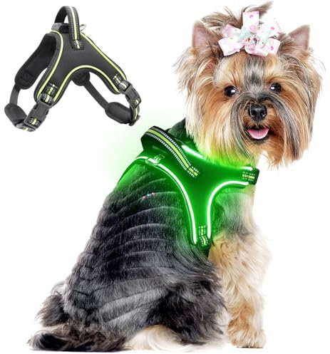 Light Up Hundegeschirr Leuchtend Aufladbar, LED Hundegeschirr mit Griff, Reflektierende Brustgeschirr für Bleiben Sie Nachts Sicher für Mittel Klein große Hund (Grün, S)