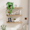 Wandregal Holz Schweberegale 3er Set, Rustikale Regal, Schweberegal Länge 40cm, Wanddisplay Racks mit unsichtbaren Halterungen für Schlafzimmer, Küche, Wohnzimmer, Büro