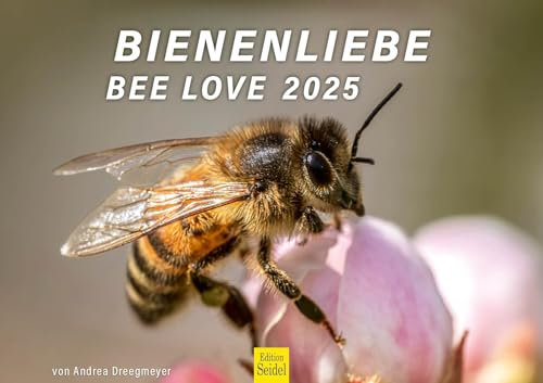Edition Seidel Premium Kalender Bienenliebe Bee Love 2025 Format DIN A3 Wandkalender Bienenkalender Biene Hummel Blüten Blumen Andrea Dreegmeyer