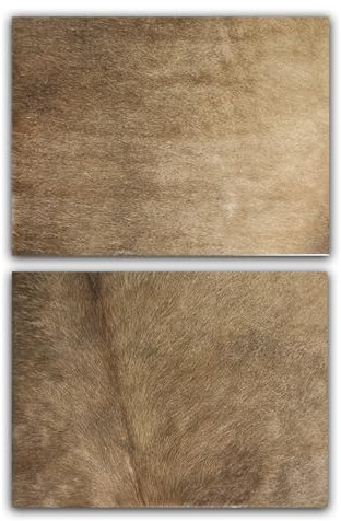unendlich schoen - 2er Platzset Platzdeckchen, echt Kuhfell abwaschbar, Tischset natürlich rutschfest, Deko Telleruntersetzer Esstisch Wohnzimmer (Taupe braun, 40 x 30 cm rechteckig)