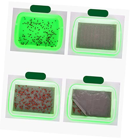 LIOOBO Vassoio Germogliatore Senza Terriccio Per Semi – Crescita Facile Di Grano Saraceno e Microgreens – Dimensioni 35 x 26 x 5 Cm Verde