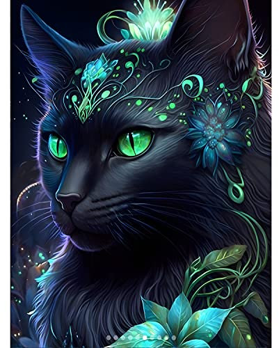 DPHERO DIY Katze Diamant Painting Bilder für Erwachsene Kinder,5D Schwarze Katze Diamond Painting Set,DIY Strass Bilder Tier Diamant Kunst Kits,Runde Steine Diamant Painting für Zuhause Dekor 30x40cm