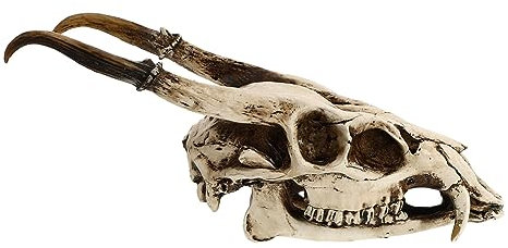 MUSISALY Elegant Goat Skull Vintage Skull Decor for Fish Tank Resin Craft Home Landscape