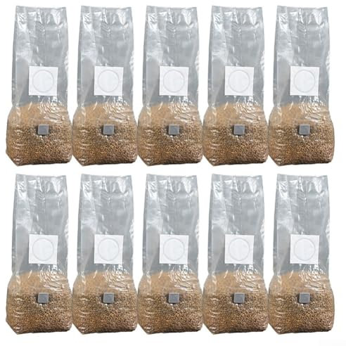 10 sacchetti per la coltivazione di funghi ad alta resa, tutto in uno, resistenti alla temperatura, trasparenti, traspiranti, per substrato di funghi (25 × 50)